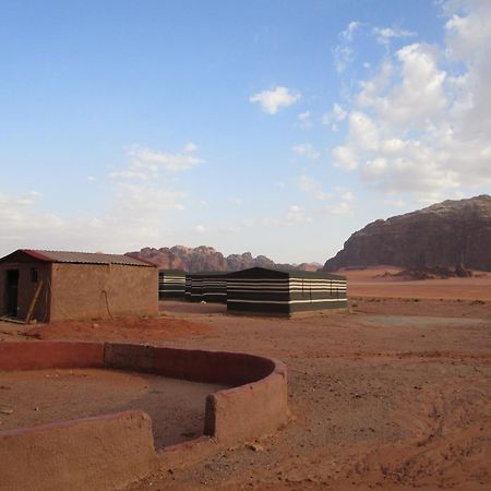 Bedouin House Camp Hotell Wadi Rum Exteriör bild