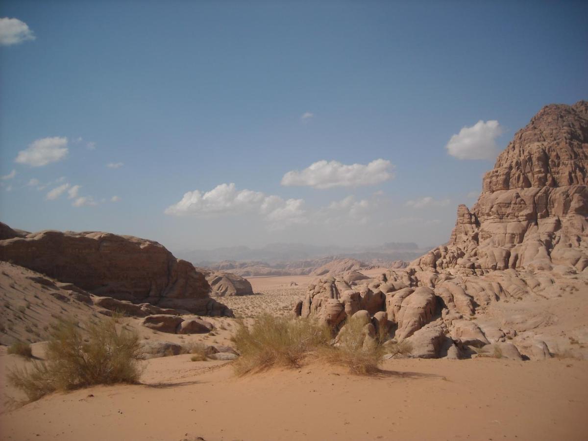 Bedouin House Camp Hotell Wadi Rum Exteriör bild