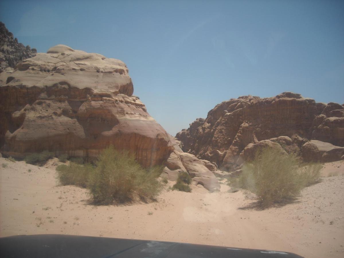 Bedouin House Camp Hotell Wadi Rum Exteriör bild