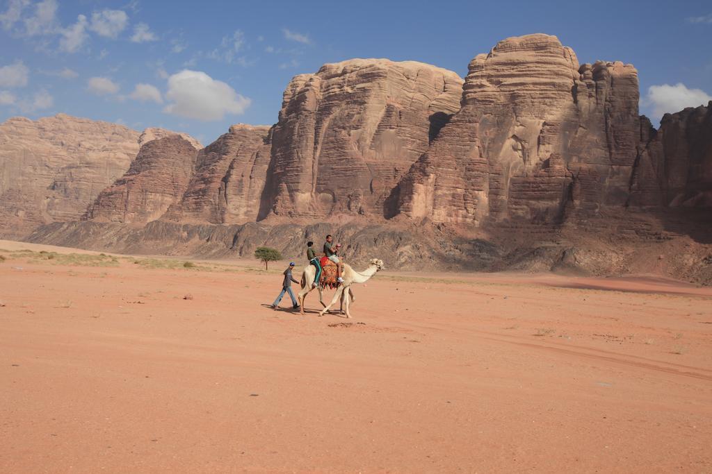 Bedouin House Camp Hotell Wadi Rum Exteriör bild