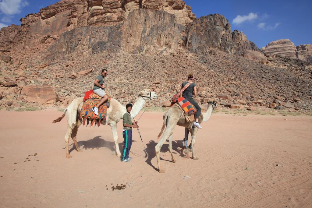 Bedouin House Camp Hotell Wadi Rum Exteriör bild